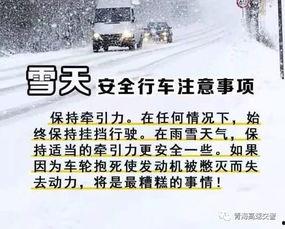 雪天行车爆料视频播放大全,揭秘雪天行车爆料视频大全